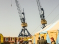 FiSH_2015 (195 von 243).jpg
