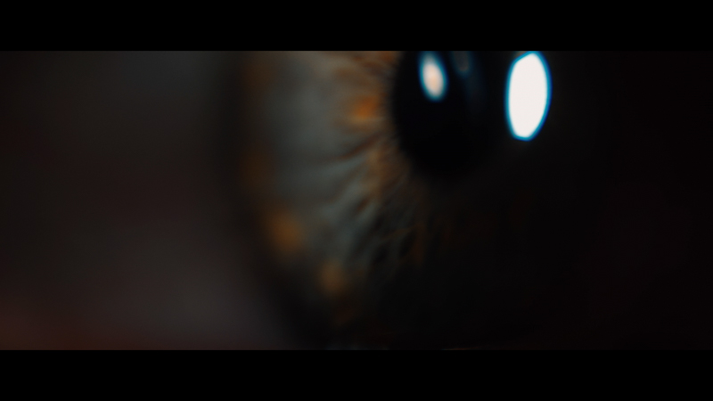 fish-19-jf-Permissiv_filmstill2 – Simon Kramer-39